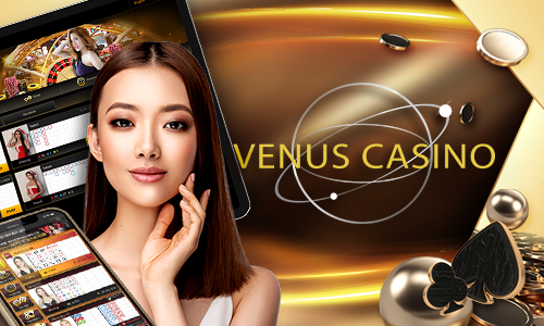 6z bet 4455 bet cassino H5