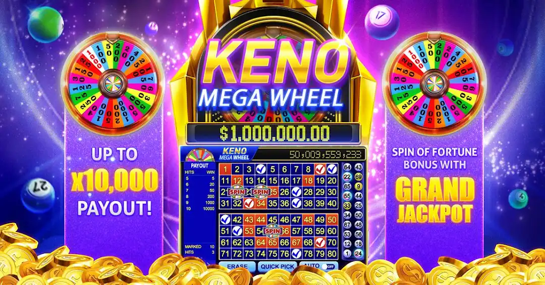 6z bet betanp cassino entretenimento